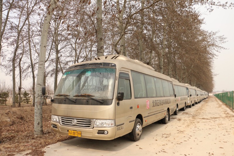 扬帆正当时，正荣与金旅D8共舞未来